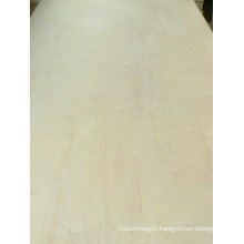 Full Poplar Plywood B/C Grade Poplar Core